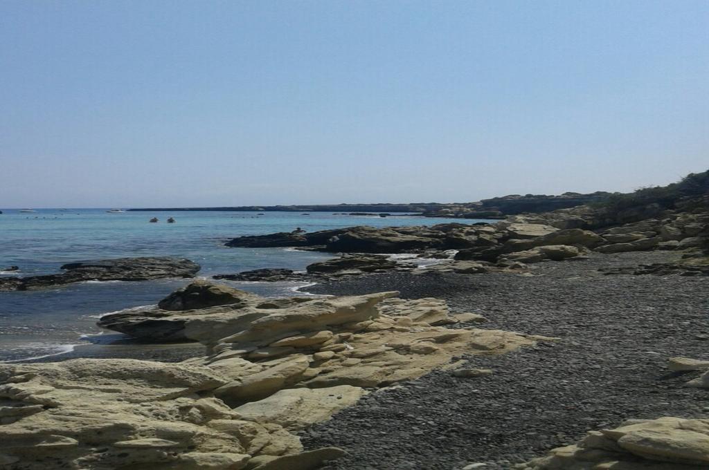 Amarakos Guesthouse Λειτουργεί υπό νέα διεύθυνση Κάτω Ακουρδάλια Εξωτερικό φωτογραφία
