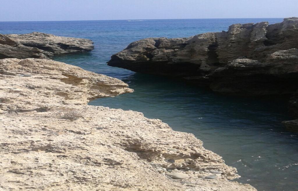 Amarakos Guesthouse Λειτουργεί υπό νέα διεύθυνση Κάτω Ακουρδάλια Εξωτερικό φωτογραφία