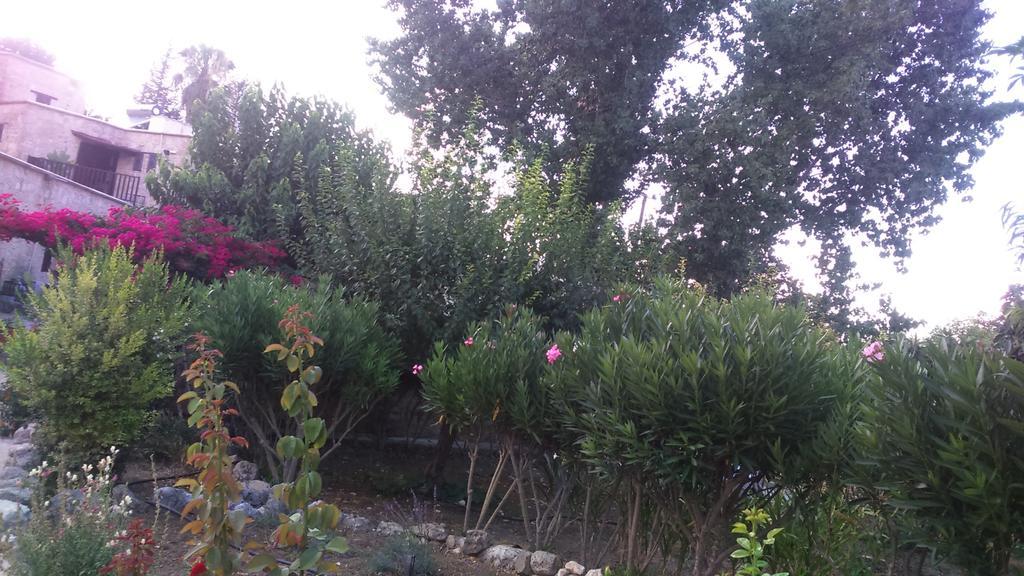 Amarakos Guesthouse Λειτουργεί υπό νέα διεύθυνση Κάτω Ακουρδάλια Εξωτερικό φωτογραφία
