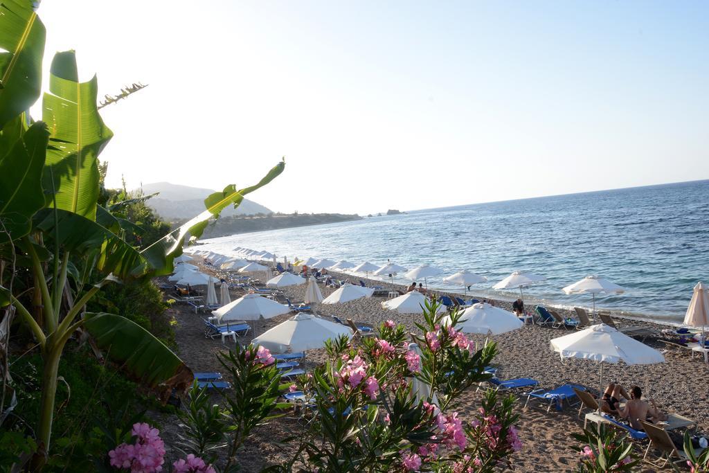 Amarakos Guesthouse Λειτουργεί υπό νέα διεύθυνση Κάτω Ακουρδάλια Εξωτερικό φωτογραφία
